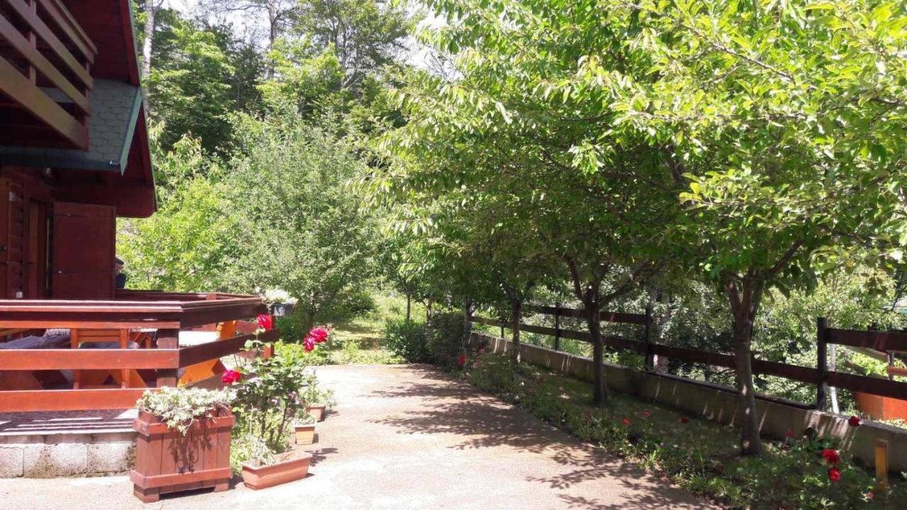 Crkvine Chalet Колашин Екстер'єр фото
